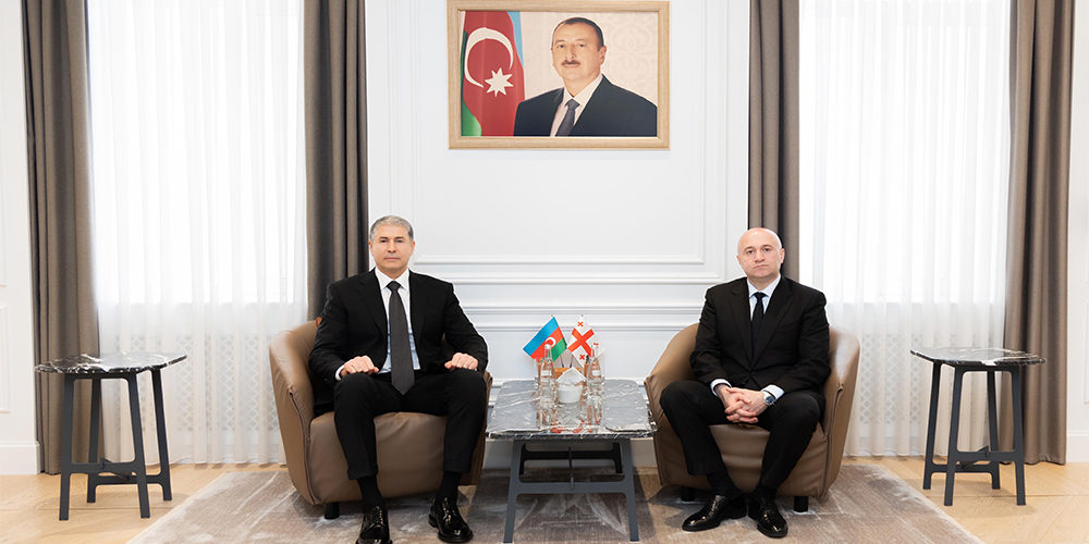 Daxili işlər naziri Vilayət Eyvazov gürcüstanlı həmkarı ilə görüşüb